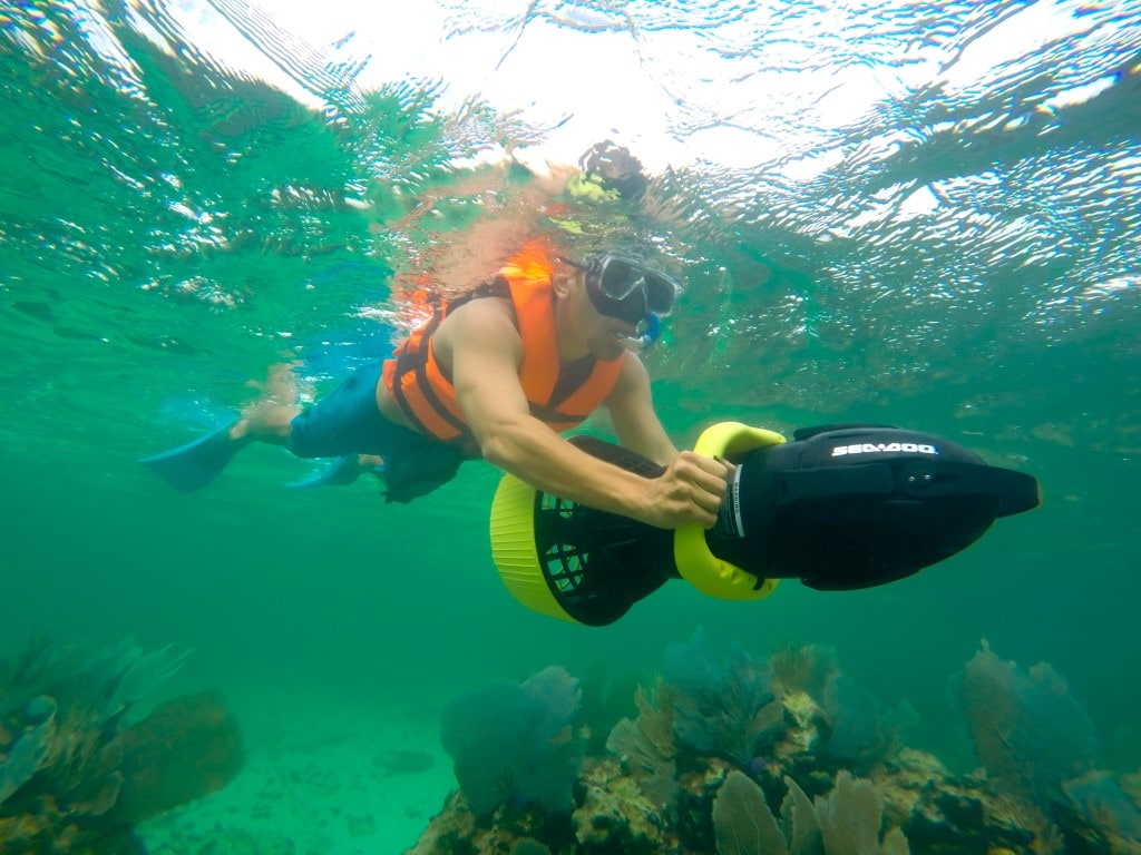 GALVESTON CRUISES : Beach Power Snorkel : Excursions